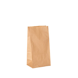 Paper Bag 6"
